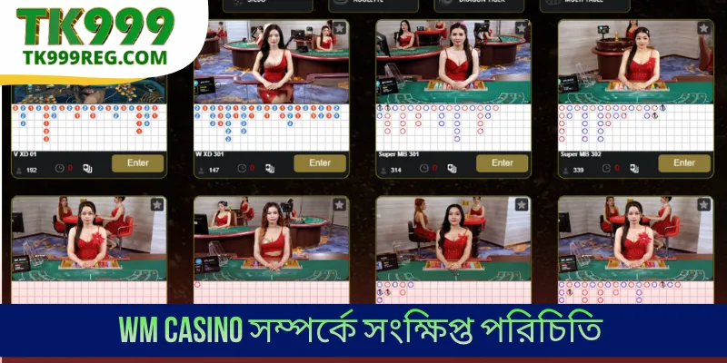 WM Casino সম্পর্কে সংক্ষিপ্ত পরিচিতি
