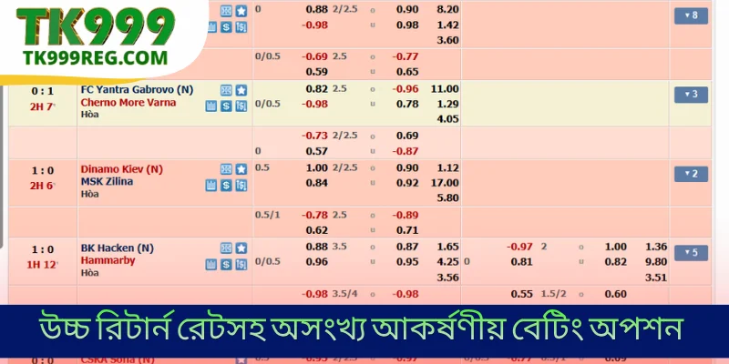 উচ্চ রিটার্ন রেটসহ অসংখ্য আকর্ষণীয় বেটিং অপশন